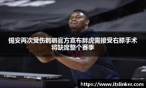 锡安再次受伤鹈鹕官方宣布胖虎需接受右膝手术将缺席整个赛季